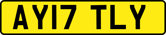 AY17TLY