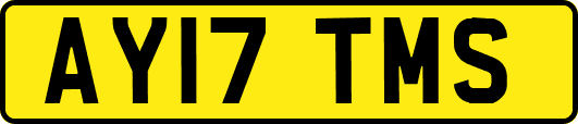 AY17TMS