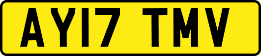 AY17TMV