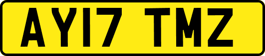 AY17TMZ