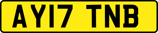 AY17TNB