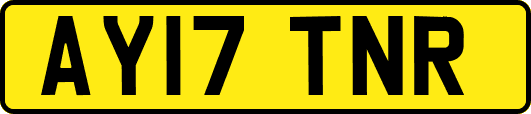 AY17TNR