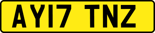 AY17TNZ