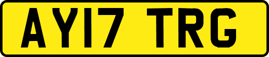 AY17TRG
