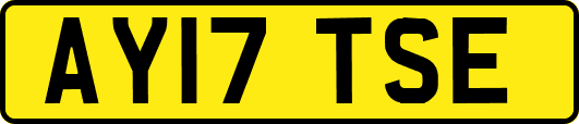 AY17TSE