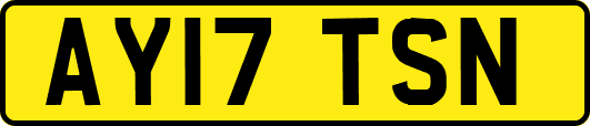 AY17TSN