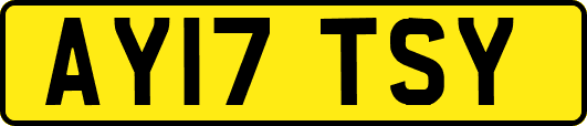 AY17TSY