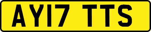 AY17TTS