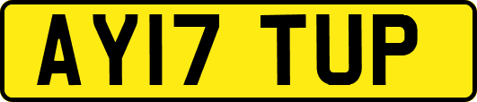 AY17TUP