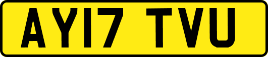 AY17TVU