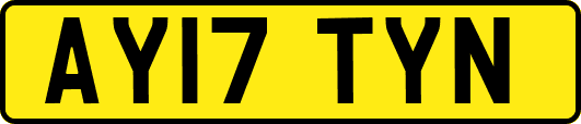 AY17TYN