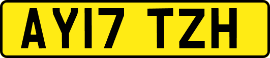 AY17TZH