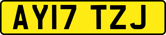 AY17TZJ
