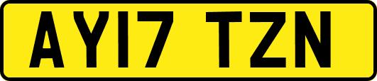 AY17TZN