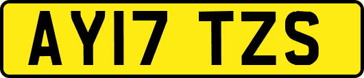 AY17TZS