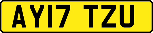 AY17TZU