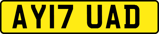 AY17UAD
