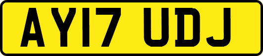 AY17UDJ