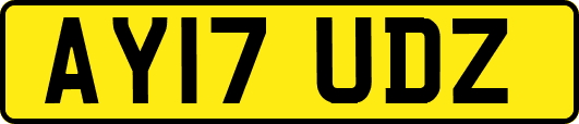 AY17UDZ