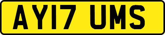 AY17UMS