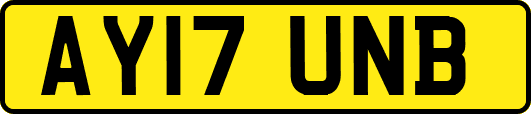 AY17UNB