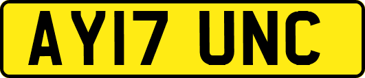 AY17UNC
