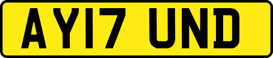 AY17UND