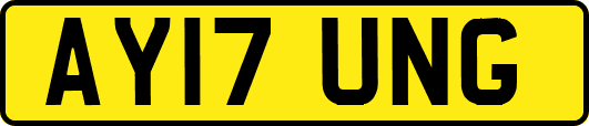 AY17UNG