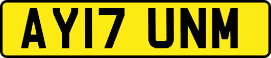 AY17UNM