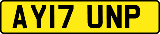 AY17UNP