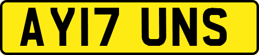 AY17UNS