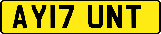 AY17UNT