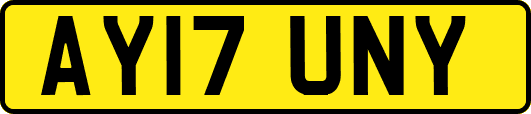 AY17UNY