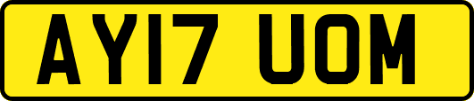 AY17UOM