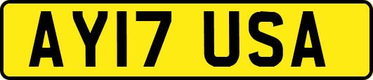 AY17USA
