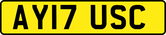 AY17USC