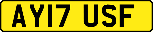 AY17USF