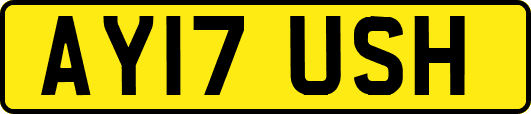 AY17USH