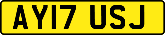 AY17USJ