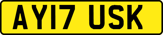 AY17USK