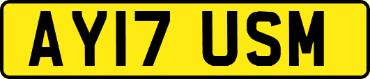 AY17USM