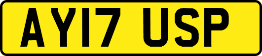 AY17USP