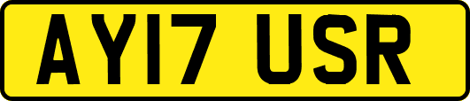 AY17USR