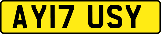 AY17USY