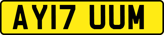 AY17UUM