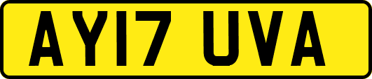 AY17UVA