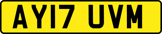 AY17UVM