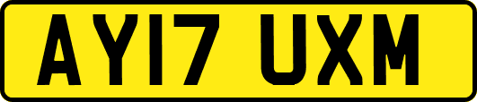 AY17UXM