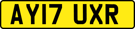 AY17UXR