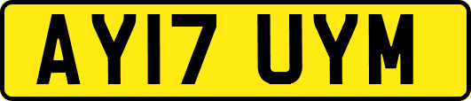 AY17UYM